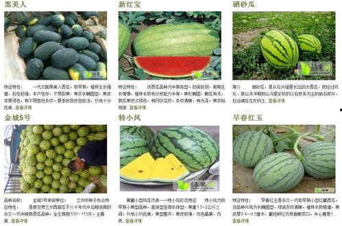 30度以上吃瓜,30度以上高温下的“吃瓜”盛事