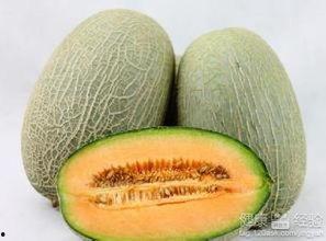 嗓子吃哈密瓜,哈密瓜来解忧——探寻天然润嗓美食之旅