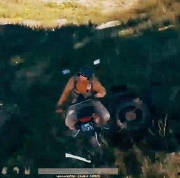 吃鸡吃瓜在哪里吃最多,揭秘我国哪里的民众最爱享受美食与娱乐