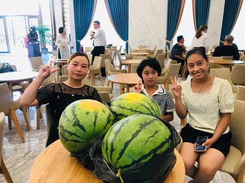 海扬吃瓜后续,揭秘娱乐圈风云再起