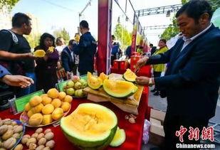 近期吃瓜事件辽宁,揭秘近期热点事件背后的真相