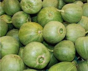 河北邢台吃瓜感染